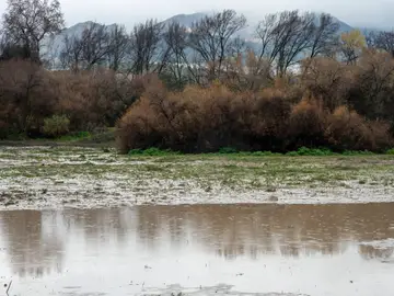Vista del río Guadalbullón a su paso por las zonas del Puente Tablas (Jaén) JAÉN, 11/02/2026.-Vista del río Guadalbullón a su paso por las zonas del Puente Tablas (Jaén) este miércoles. En Jaén estará activado por rachas fuertes de viento el aviso amarillo (hasta las 17.00 horas).-EFE/José Manuel Pedrosa.