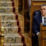 Comparecencia de Pedro S&aacute;nchez ante el pleno del Congreso