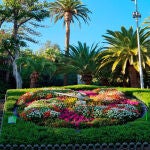 El "Gran Hermano" aterriza en el parque m&aacute;s emblem&aacute;tico de Canarias: &iquest;seguridad o vigilancia como nueva normalidad?