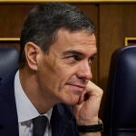 Comparecencia del presidente del Gobierno, Pedro Sanchez,  para informar sobre los &uacute;ltimos accidentes y la sit