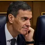 Comparecencia del presidente del Gobierno, Pedro Sanchez, para informar sobre los últimos accidentes y la sit