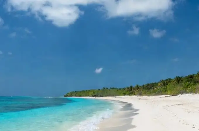 Sacan a la venta una isla privada y su precio ridículo va a desatar una guerra por comprarla Sacan a la venta una isla privada y su precio ridículo va a desatar una guerra por comprarla