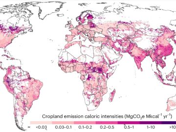 Cambio clim&aacute;tico