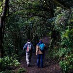 Qu&eacute; hacer en Tenerife si quieres huir del Carnaval de Santa Cruz
