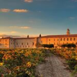 Vista de Abad&iacute;a Retuerta 