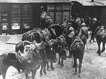 Imagen de caballerías en la Segunda Guerra Mundial Imagen de caballerías en la Segunda Guerra Mundial