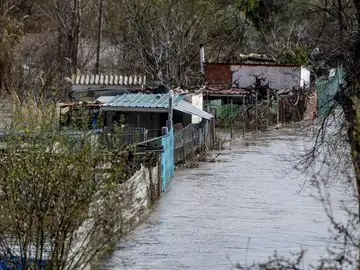 Los ecologistas alertan de que la crecida del Jarama amenaza a personas y animales de "chamizos ilegales" en San Fernando Los ecologistas alertan de que la crecida del Jarama amenaza a personas y animales de "chamizos ilegales" en San Fernando