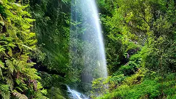 De Netflix a la Berlinale: el territorio español que se convierte en referencia del cine europeo De Netflix a la Berlinale: el territorio español que se convierte en referencia del cine europeo