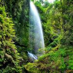 De Netflix a la Berlinale: el territorio espa&ntilde;ol que se convierte en referencia del cine europeo