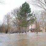 Crecida del r&iacute;o Duero a su paso por Zamora
