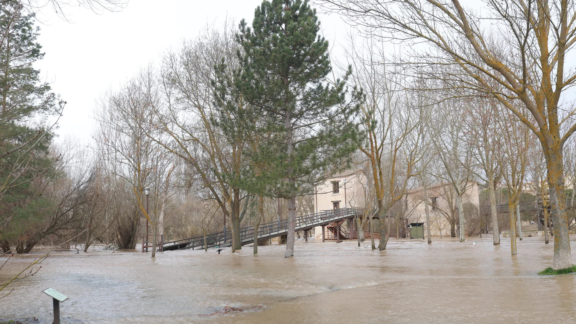 Crecida del río Duero a su paso por Zamora