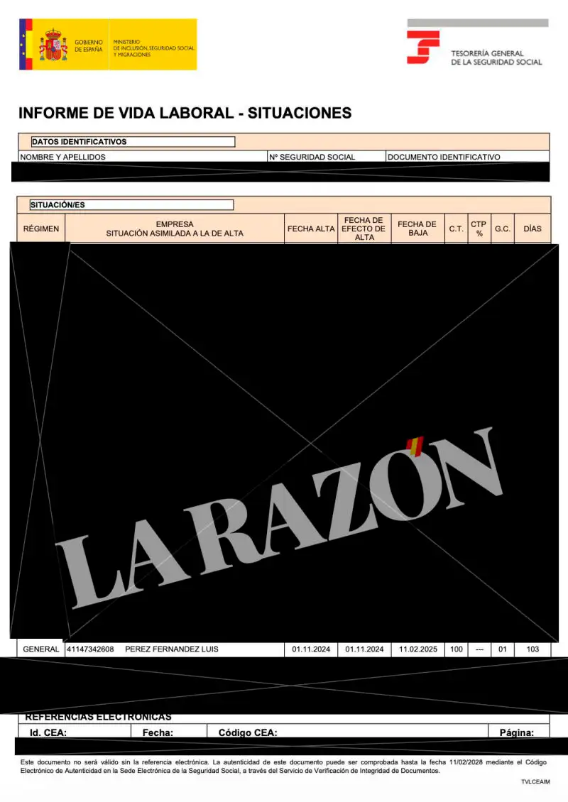 Vida laboral del empleado con alta de Alvise.