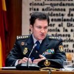 El Jefe Provincial de la Polic&iacute;a Nacional en Valencia comparece en la comisi&oacute;n del Senado sobre la dana