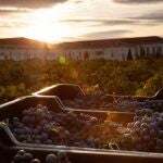 Bodega Marqu&eacute;s del Atrio 