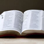 Las mejores 7 aplicaciones de diccionario para Android