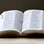 Las mejores 7 aplicaciones de diccionario para Android