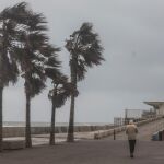 Temporal.- Emergencias advierte de la llegada de un nuevo episodio de fuertes vientos a la Comunitat Valenciana