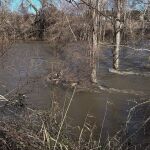 Los avisos por riesgo de desbordamiento de los r&iacute;os se limitan a dos tramos del Jarama en San Fernando y Titulcia