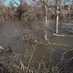 Los avisos por riesgo de desbordamiento de los ríos se limitan a dos tramos del Jarama en San Fernando y Titulcia