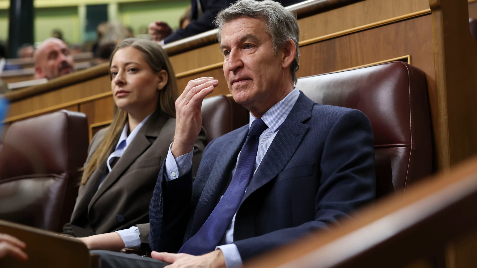 MADRID, 18/02/2026.- El líder del PP, Alberto Núñez Feijóo, durante la sesión de Control celebrada este miércoles en el Congreso. EFE/Kiko Huesca