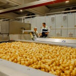 Planta de Patatas Mel&eacute;ndez 