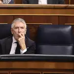 Marlaska asegura que dimitirá si la víctima por la presunta agresión sexual del DAO dice que se sintió desprotegida