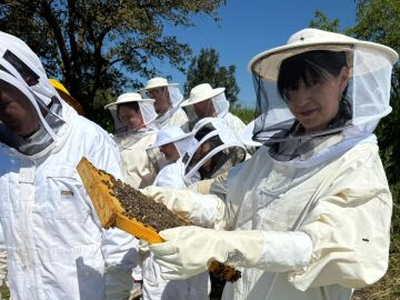 La nueva iniciativa del PP catal&aacute;n que beneficia al sector ap&iacute;cola