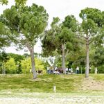 El fin de semana ser&aacute; "primaveral", con valores propios de abril y temperaturas hasta 10&ordm;C por encima de lo normal