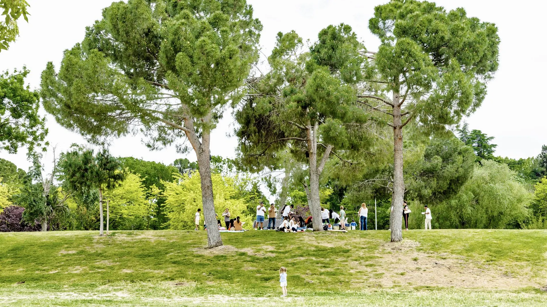 El fin de semana será "primaveral", con valores propios de abril y temperaturas hasta 10ºC por encima de lo normal