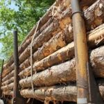 Se investigan las importaciones de China e indonesia en su mercado