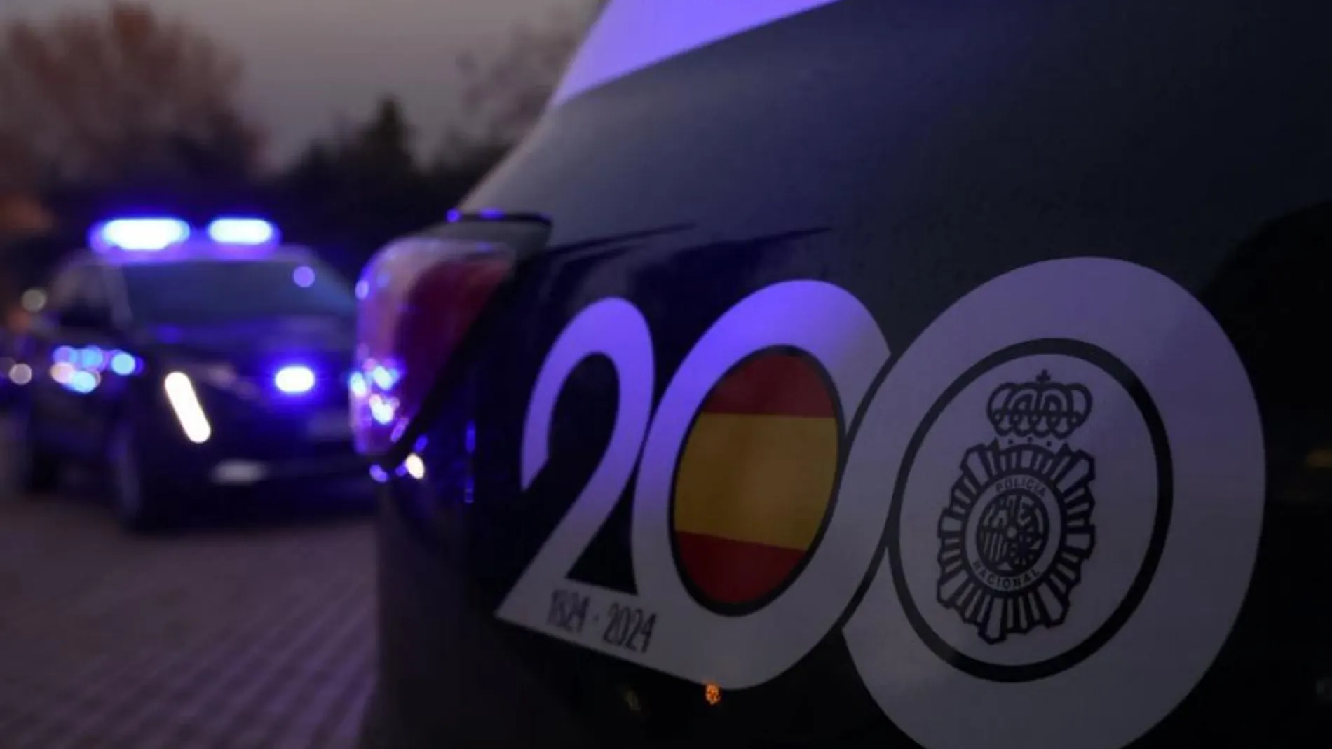 Coches patrulla de la Policía Nacional de Valladolid