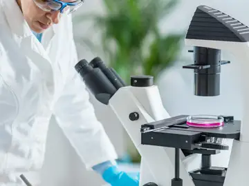 La justicia avala que una indemnización mal calculada convierte un despido objetivo en improcedente La justicia avala que una indemnización mal calculada convierte un despido objetivo en improcedente