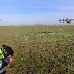 Una empresa palentina ofrece un servicio de aplicaciones agr&iacute;colas con estos veh&iacute;culos a&eacute;reos que permiten abonar y tratar cultivos incluso en parcelas inundadas, en la imagen abonando una parcela de colza