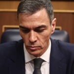 El presidente del Gobierno, Pedro S&aacute;nchez, en una sesi&oacute;n de control al Gobierno, en el Congreso de los Diputados
