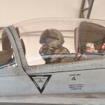 La Universidad Polit&eacute;cnica de Madrid y el Ej&eacute;rcito del Aire miden la actividad cerebral de un piloto de F-18 para crear un "neurocasco"