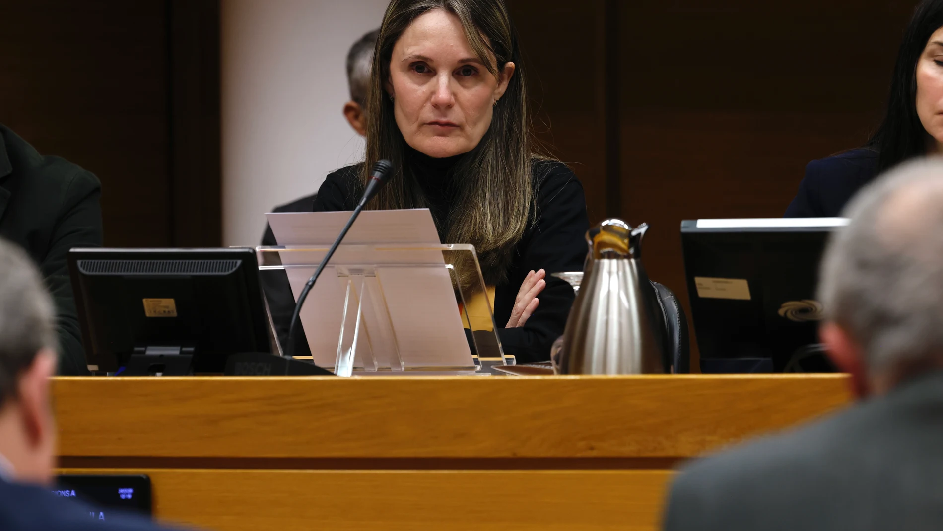 La presidenta de la Asociación de Víctimas Mortales de la DANA 29-O, Rosa Álvarez, comparece ante la comisión de investigación de la dana, en Les Corts, a 24 de febrero de 2026, en Valencia, Comunidad Valenciana (España). Hoy continúan las comparecencias de representantes de las asociaciones de la dana en Les Corts tras la primera sesión que tuvo lugar ayer 23 de febrero. 24 FEBRERO 2026 Rober Solsona / Europa Press 24/02/2026