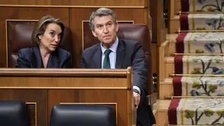 El presidente del Partido Popular, Alberto Núñez Feijóo, y la secretaria general del PP, Cuca Gamarra, durante una sesión plenaria en el Congreso de los Diputados El presidente del Partido Popular, Alberto Núñez Feijóo, y la secretaria general del PP, Cuca Gamarra, durante una sesión plenaria en el Congreso de los Diputados