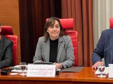 La consellera de Territorio, Vivienda y Transici&oacute;n Ecol&oacute;gica de la Generalitat, S&iacute;lvia Paneque, en una comparecencia en las comisiones de Territorio y Vivienda y de Transici&oacute;n Ecol&oacute;gica del Parlament