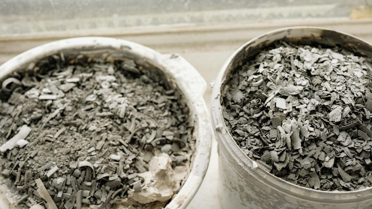 Échale ceniza a tus plantas: te lo agradecerán y crecerán más fuertes