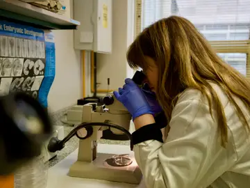 Solo el 33% del personal investigador es de género femenino Solo el 33% del personal investigador es de género femenino