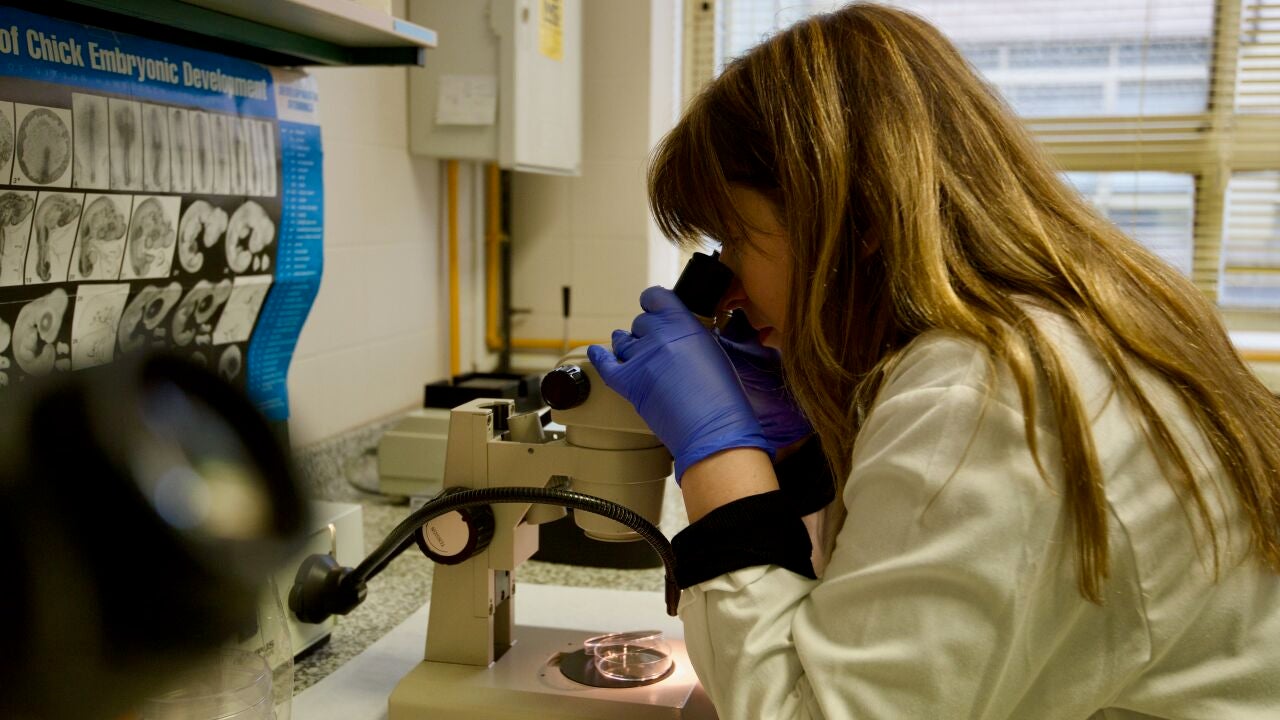 Promover la investigación en salud femenina para cerrar la brecha de género