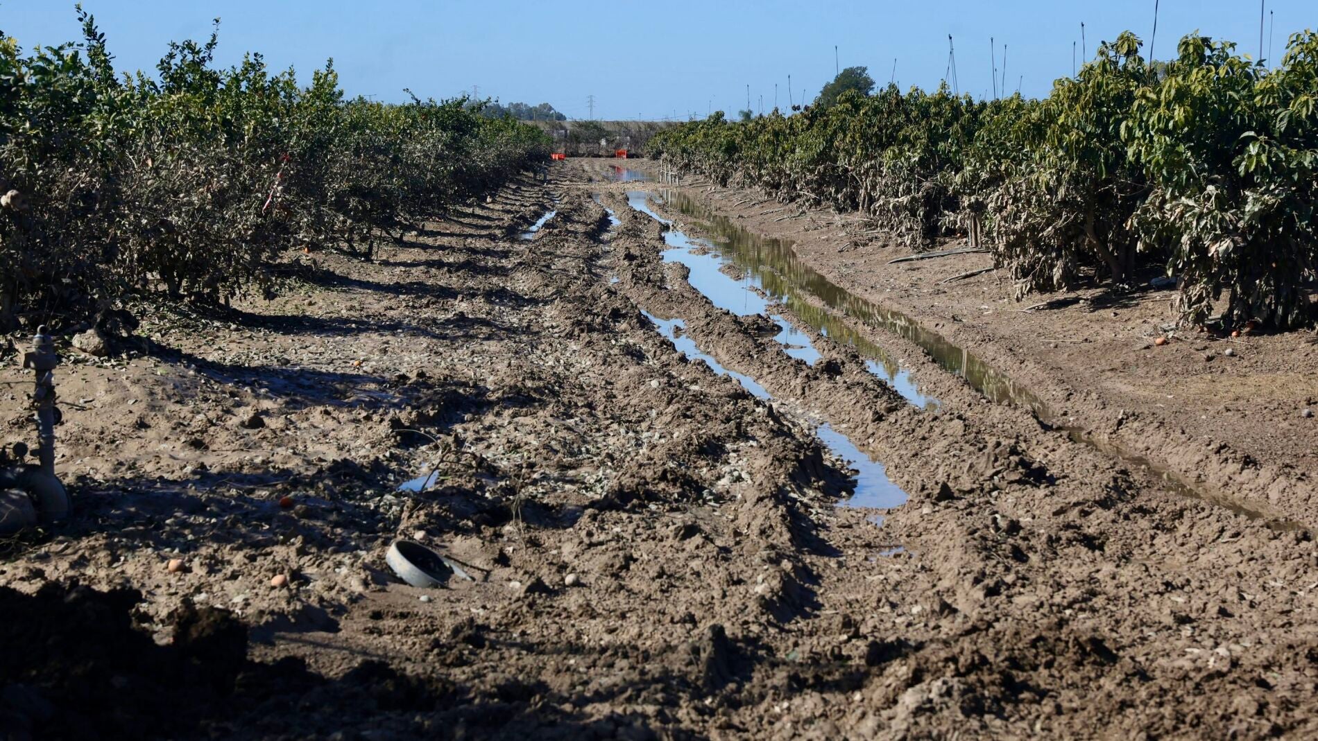 Andalucía activa más ayudas a pymes y autónomos afectados por el tren de borrascas
