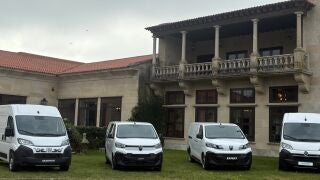 Pro One, la divisi&oacute;n de comerciales de Stellantis, repite como l&iacute;der de este sector industrial