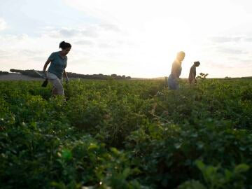Patatas Mel&eacute;ndez impulsa el liderazgo femenino rural