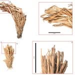 Arque&oacute;logos de la Universidad de Las Palmas de Gran Canaria han descubierto en un yacimiento del Roque Bentayga una colecci&oacute;n de herramientas de piedra que incluye una hasta ahora nunca documentada entre los antiguos canarios: una lasca que fue empleada como hoz para cosechar cereales. En la imagen, una lasca de piedra con marcas de desgaste por haberla utilizado para cortar cereales