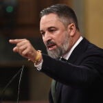 Abascal tiende la mano a Feij&oacute;o con una condici&oacute;n: &ldquo;moci&oacute;n de censura a Pedro S&aacute;nchez&rdquo;