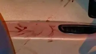 Detenido un hombre en Carabanchel mientras robaba de madrugada en un establecimiento comercial Detenido un hombre en Carabanchel mientras robaba de madrugada en un establecimiento comercial