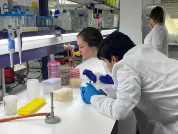 Alumnos en un laboratorio Alumnos en un laboratorio