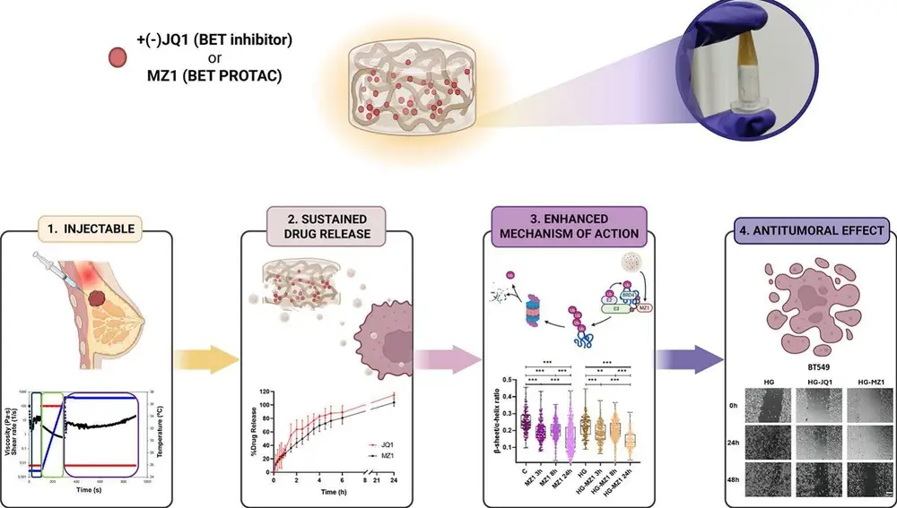Esquema del hidrogel inyectable y sus efectos antitumorales
