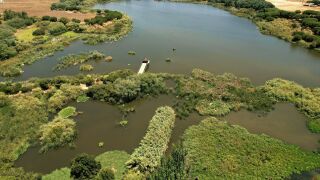 La Laguna Primera de Palos, en la provinia de Huelva, es uno de los proyectos de protecci&oacute;n y conservaci&oacute;n m&aacute;s destacados de la Fundaci&oacute;n Moeve.